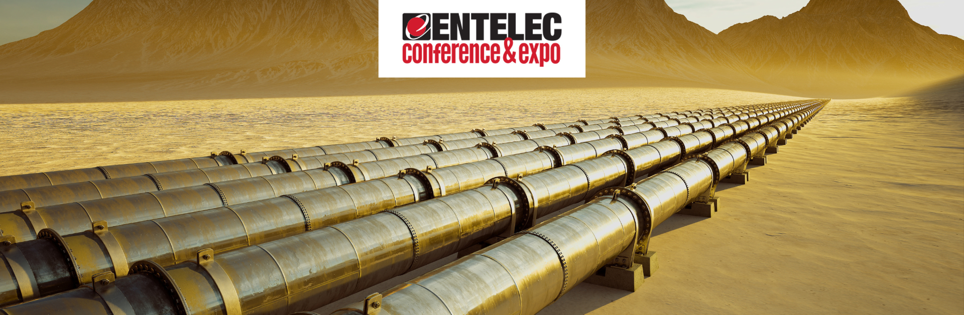 We Are Exhibiting: ENTELEC, Texas